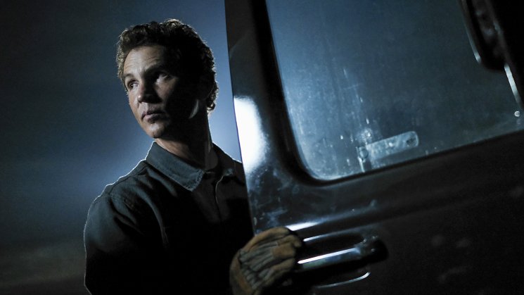 watch animal kingdom